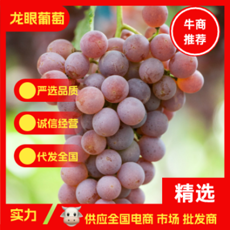 水果批发行业的竞争越来越激烈,如何在众多商家中脱颖而出?今天就来分享几个成功的关键点。